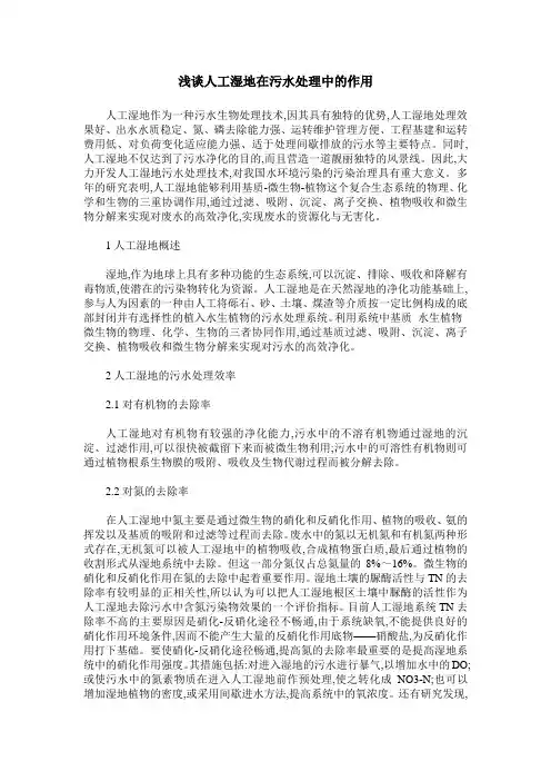 浅谈人工湿地在污水处理中的作用