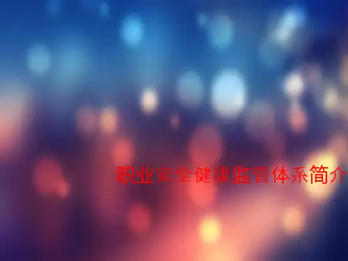 职业安全健康监管体系简介