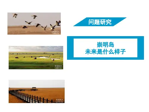 人教版高中地理必修1《第四章 地表形态的塑造 问题研究 崇明岛的未来是什么样子》课件_21