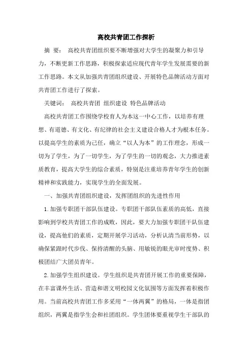 高校共青团工作探析