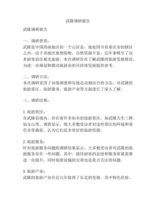 武隆调研报告