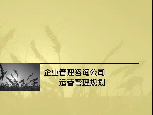 企业管理咨询公司运营管理规划(PPT 121页)