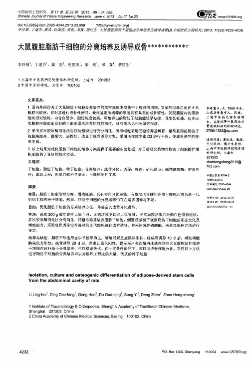 大鼠腹腔脂肪干细胞的分离培养及诱导成骨