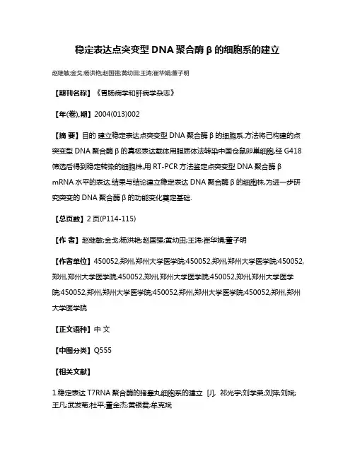 稳定表达点突变型DNA聚合酶β的细胞系的建立