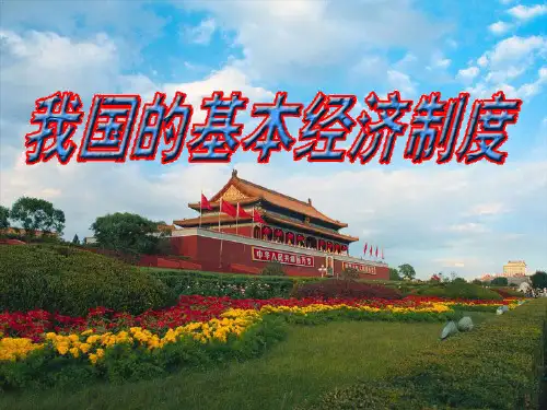 公有制为主体多种所有制经济共同发展