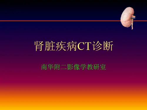 内科学课件-肾脏病变CT诊断