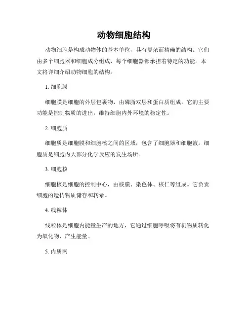 动物细胞结构