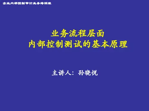 控制测试基本原理_某咨询会计师事务所合伙人_杨昕