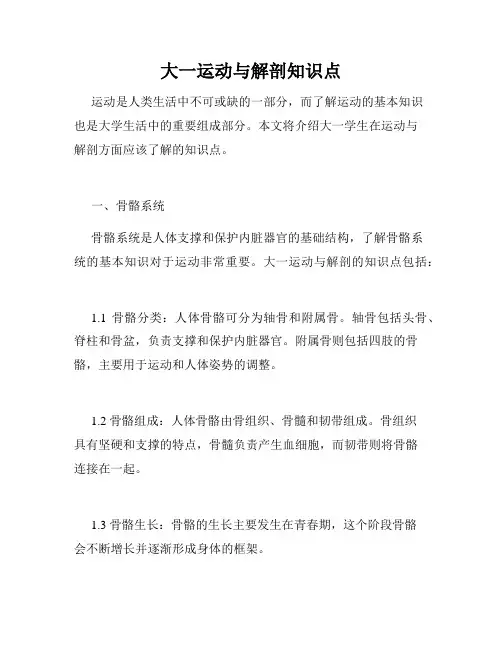 大一运动与解剖知识点