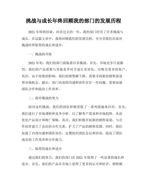 挑战与成长年终回顾我的部门的发展历程