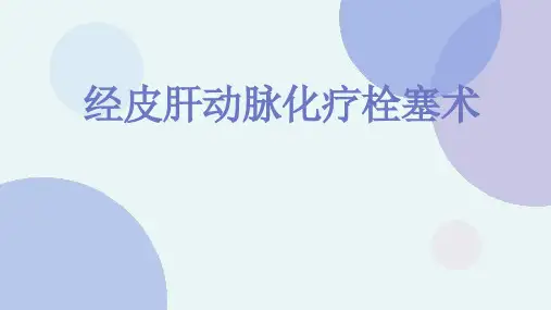 经皮肝动脉化疗栓塞术