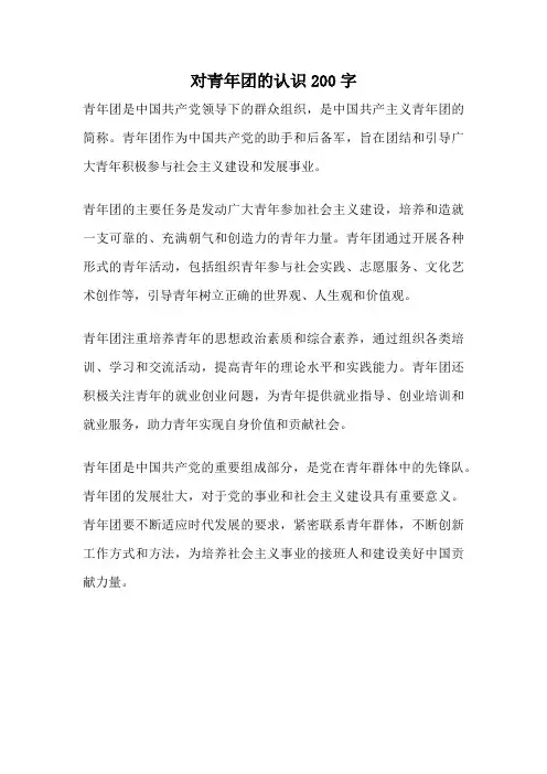 对青年团的认识200字
