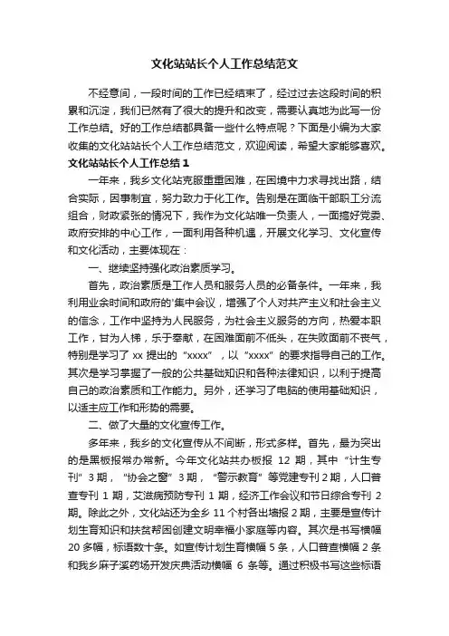 文化站站长个人工作总结范文