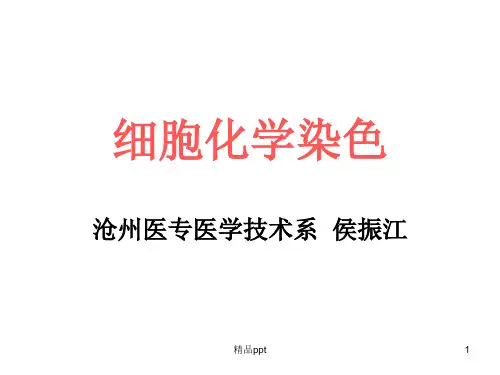细胞化学染色17229PPT课件