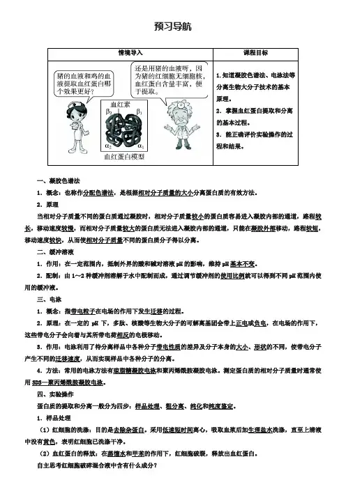 生物人教版选修1学案：预习导航 专题5课题3 血红蛋白的提取和分离 Word版含解析