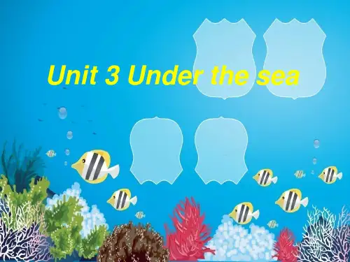 Unit 3 Under the sea人教版高中英语选修7课件 (共26张PPT)