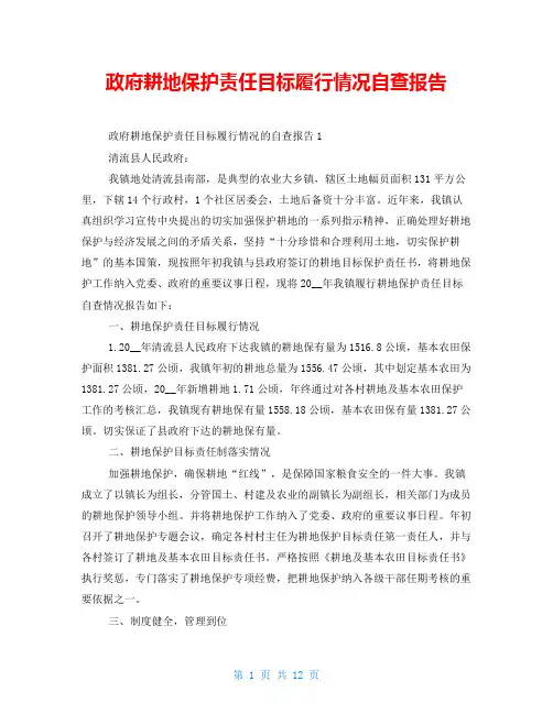 政府耕地保护责任目标履行情况自查报告