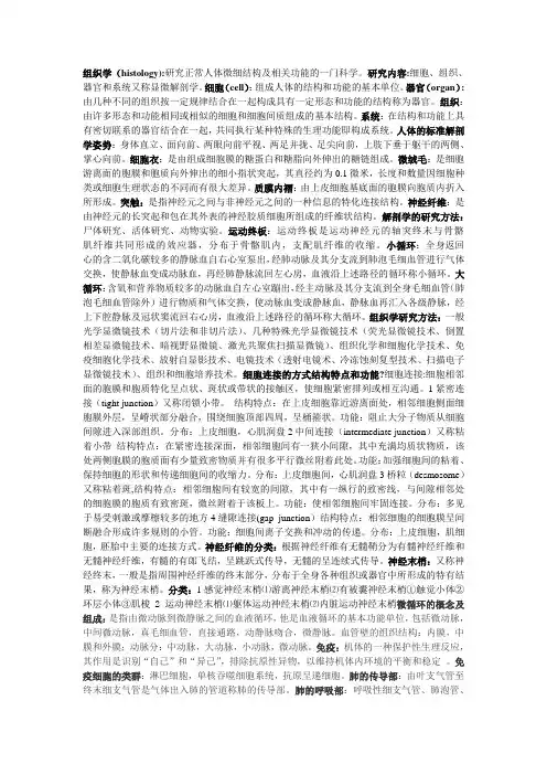 人体组织学与解剖学