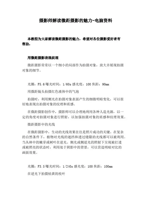 摄影师解读微距摄影的魅力-电脑资料
