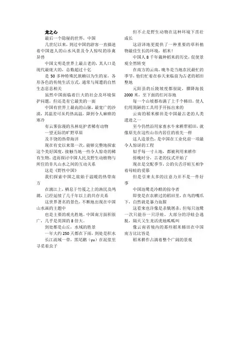 美丽中国中文翻译——龙之心