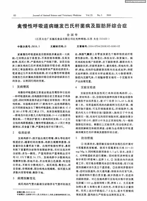 禽慢性呼吸道病继发巴氏杆菌病及脂肪肝综合症
