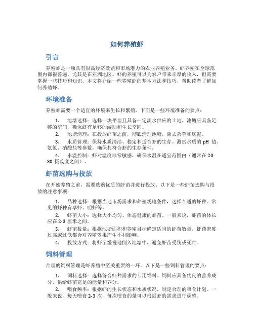 如何养殖虾