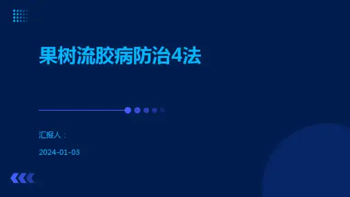 果树流胶病防治4法