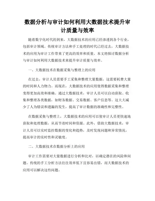 数据分析与审计如何利用大数据技术提升审计质量与效率