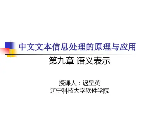 9_语义表示