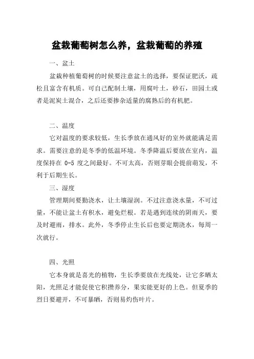 盆栽葡萄树怎么养,盆栽葡萄的养殖
