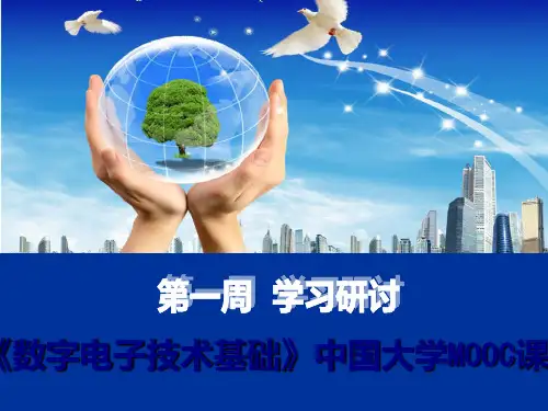 中国大学电子教育MOOC系统基本概念介绍PPT课件
