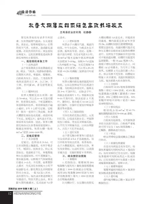 秋季大棚厚皮甜瓜绿色高效栽培技术