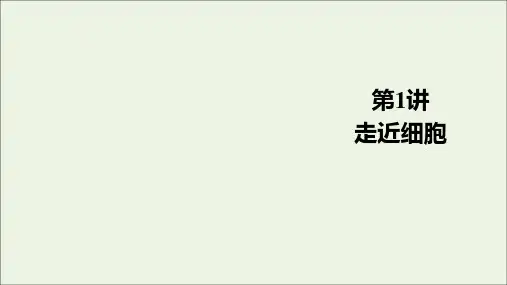 2021届高考生物一轮复习第1单元走近细胞及细胞的分子组成第1讲走近细胞课件新人教版必修1
