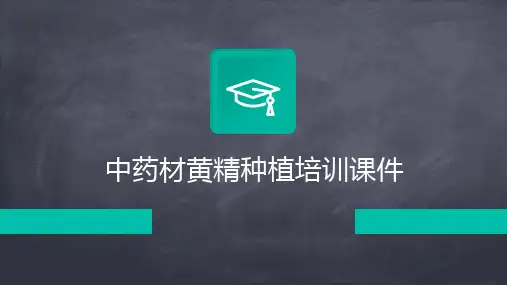 中药材黄精种植培训课件