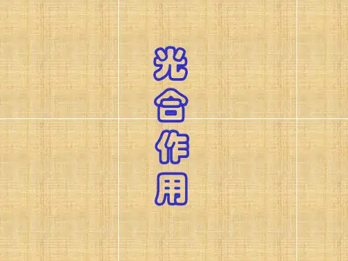 高一生物第五章光合作用一轮复习名师精编课件 新课标 人教版 必修1