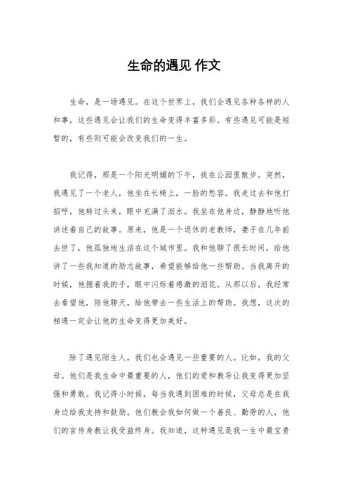 生命的遇见 作文