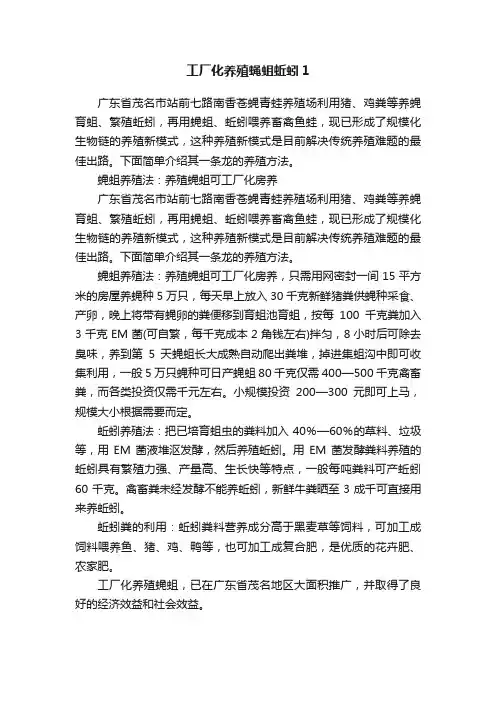 工厂化养殖蝇蛆蚯蚓1