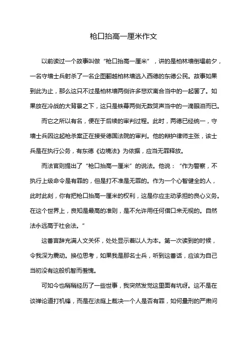 枪口抬高一厘米作文