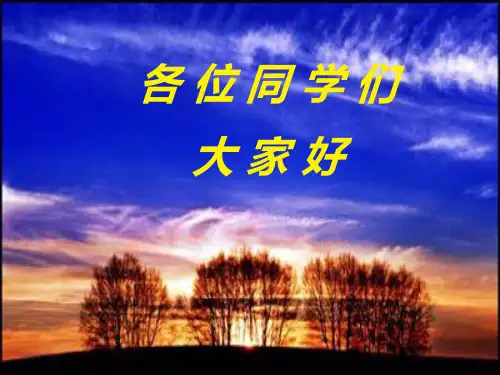商务谈判商务谈判的策略