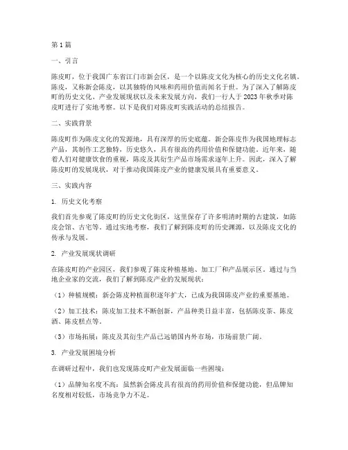 陈皮町的实践报告(2篇)
