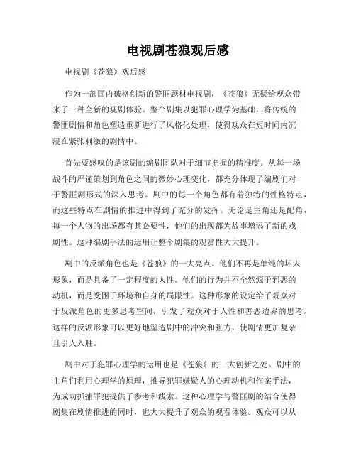 电视剧苍狼观后感