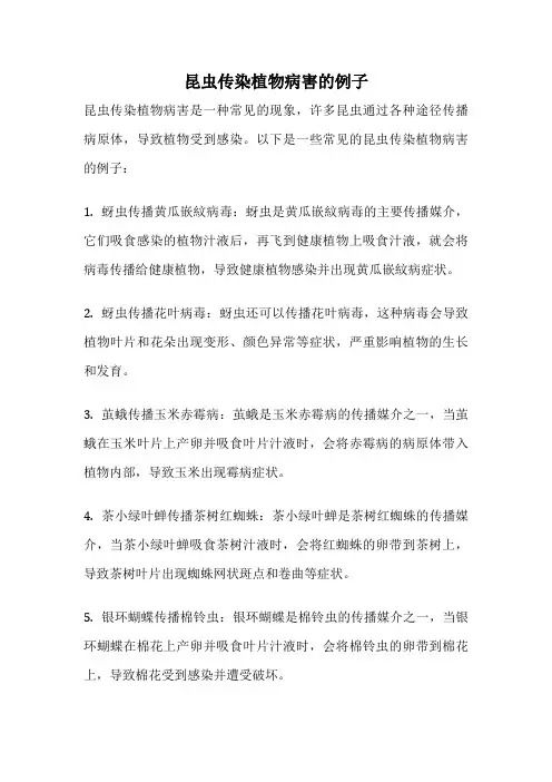 昆虫传染植物病害的例子