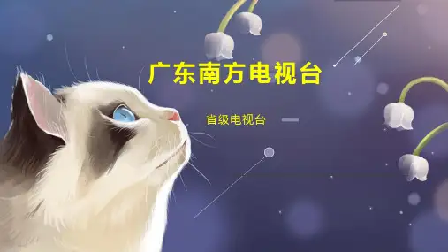 广东南方电视台