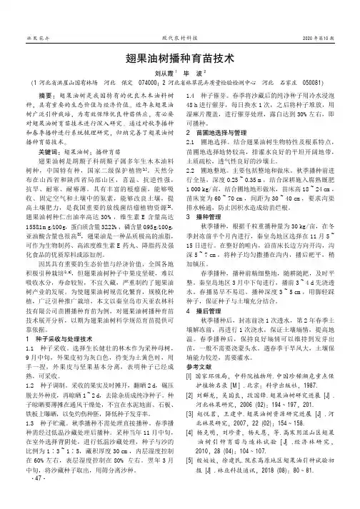 翅果油树播种育苗技术