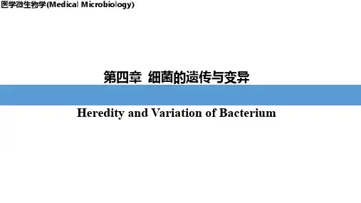 细菌常见的变异现象和变异类型