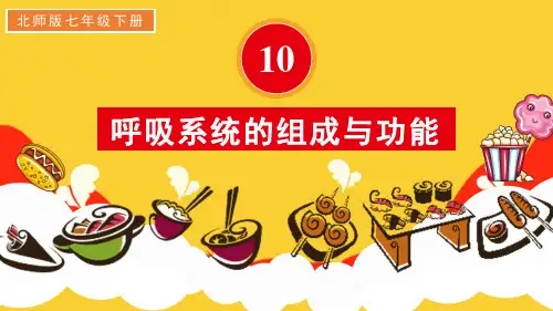 《呼吸系统的组成与功能》PPT课件 北师版生物