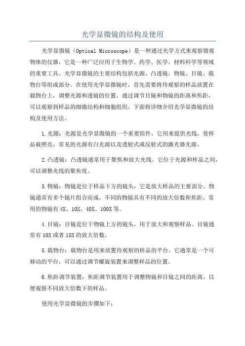 光学显微镜的结构及使用