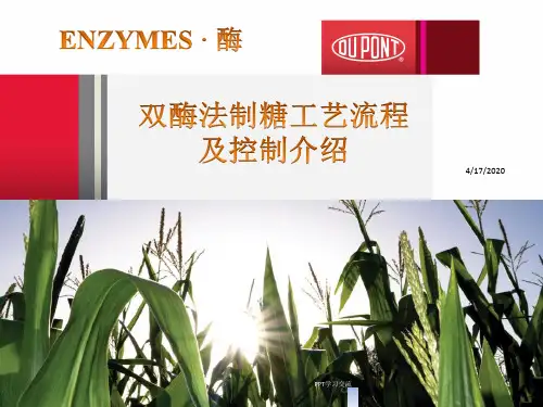 双酶法制糖工艺流程及控制介绍课件