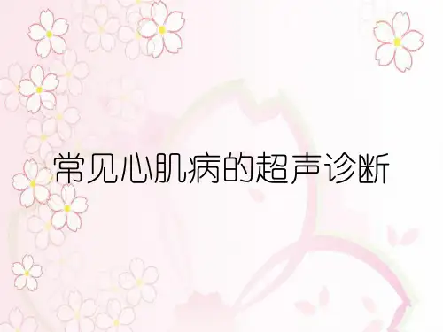 常见心肌病的超声诊断