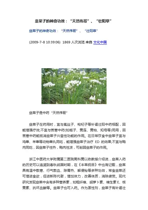 韭菜子的神奇功效：“天然伟哥”、“壮阳草”